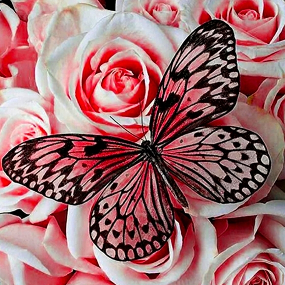 Meet Your Posher, Heidi - Picture 1 of 1